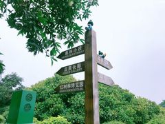 -海上田园