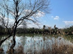 -新荣记(西溪湿地店)