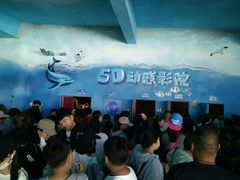 -秦皇岛乐岛海洋王国