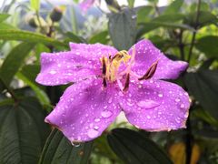 -羚羊峡古栈道森林公园