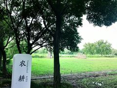 -长兴太湖图影湿地文化园