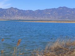 -野鸭湖国家湿地公园