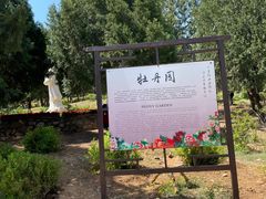 -北京西山国家森林公园