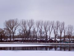 -什刹海
