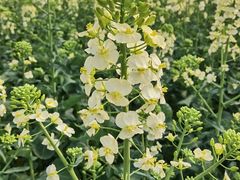 -中国天府农业博览园