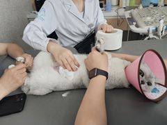 -谐和贝康宠物医院24小时·宠保定点(急重症转诊中心)