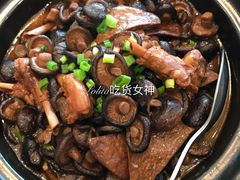 -披云山庄