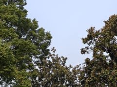 -中山公园
