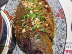 -酒阳蒸经小酒馆(解放碑店)