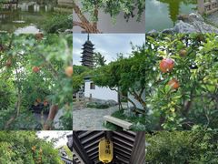 -常熟方塔园