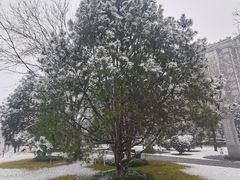 -唐城墙遗址公园