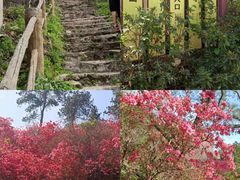 -木兰云雾山