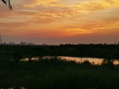 -南汇嘴观海公园