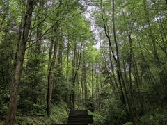 -凤栖山