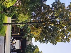 -太平天国侍王府