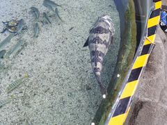 -鸿通城购物中心