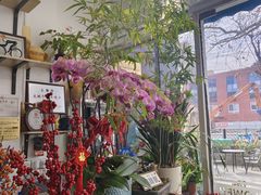 -FEI FEI FLOWER鲜花店·气球派对·宝宝宴布置(虹口德必运动Loft店)