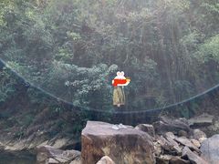 -广州白江湖森林公园