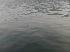 -西湖游船