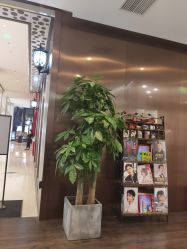 -崇尚GAVIN STYLE臻选