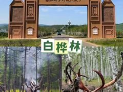 -呼伦贝尔大草原