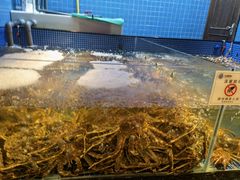-东海怡品海鲜豆捞(星街坊店)