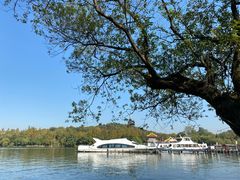 -西湖外事游船(花港观鱼码头)