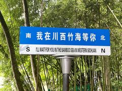 -川西竹海景区