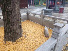 -上海青龙寺