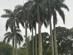 -万绿园