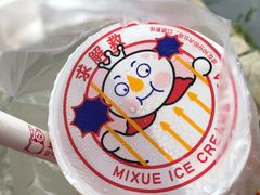 -蜜雪冰城(欧亚商都店)