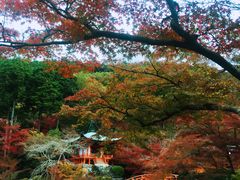 -醍醐寺