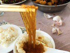 -鸡炖兔