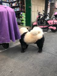 -美莱医疗美容医院