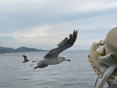 -海驴岛(荣成市)