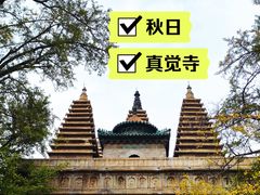-北京石刻艺术博物馆(五塔寺)