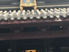 -汇龙潭