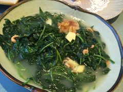 上汤辣椒叶-沙龙酒家