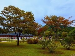 -景福宫