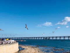 -星海湾跨海大桥