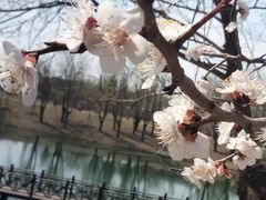 -长春公园(普阳街道)