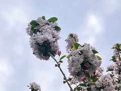 -天津海河悦榕庄·Lobby Lounge大堂吧