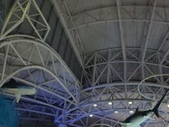 -烟台海昌鲸鲨海洋公园