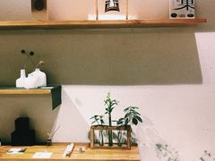 -柴务处·柴犬主题狗咖