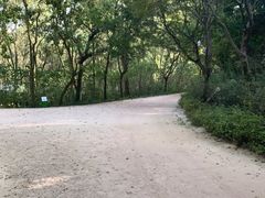 -西湖风景区-江洋畈生态公园