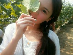 -马陆小张葡萄园农家乐