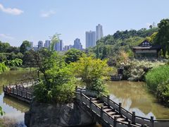 -张坝桂圆林公园