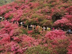 -木兰云雾山