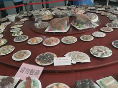 -中国第四纪冰川遗迹陈列馆