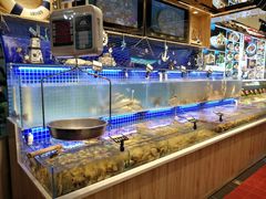 -必点海鲜·鲅鱼水饺(鞍山西道店)